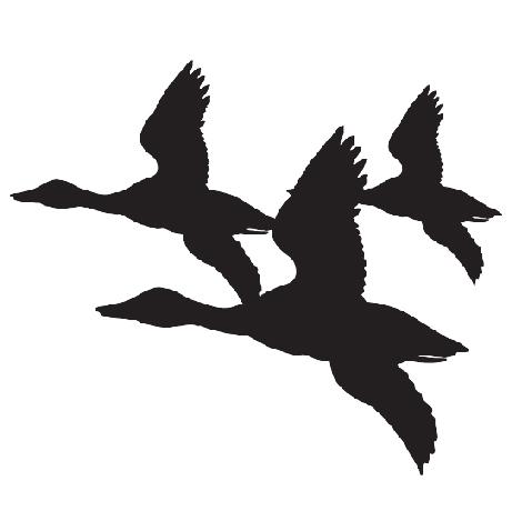 Sylvester Icon